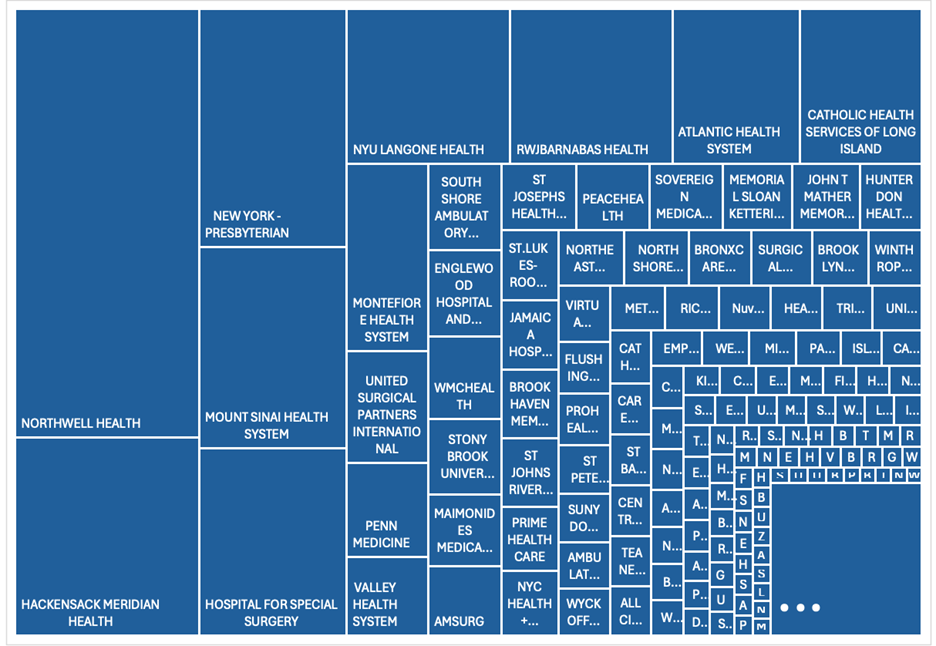 The tree map shows hundreds of smaller healthcare providers, grouped by their total orthopedic surgical volume.